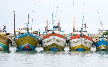 Tangalle, Southern Province, Sri Lanka - December 20, 2014: Colorful wood fishing boats moored in Tangalle port.